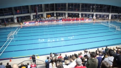 NI D OD DERBIJA Novi Beograd gazi redom, ubedljivo pala i Crvena zvezda