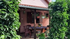 AU KAKVA CENA! Ovo je najjeftinija kuća na Fruškoj Gori – ima 120 kvadrata, voćnjak i ogroman plac