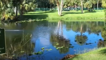 BAKA (84) ŠETALA PSA, PA NAIŠLA NA PREDATORA Zgrabio je čeljustima za nogu, udarala zver po nosu i glavi! (VIDEO)