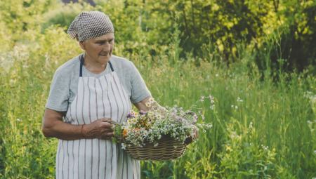 DOKTOR DAO 7 SAVETA ZA DUGOVEČNOST Uz njihovu pomoć ćete imati dug i zdrav život