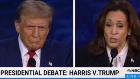 NAJVEĆE NEBULOZE UOČI PREDSEDNIČKIH IZBORA U SAD: Pet najapsurdnijih teorija zavere – od jela pasa do odnosa na sofi