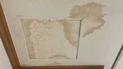 PRESTRAVILA GA JE BUKA IZ PLAFONA, ODMAH POZVAO POMOĆ Ono šta su pronašli tamo ledi krv u žilama