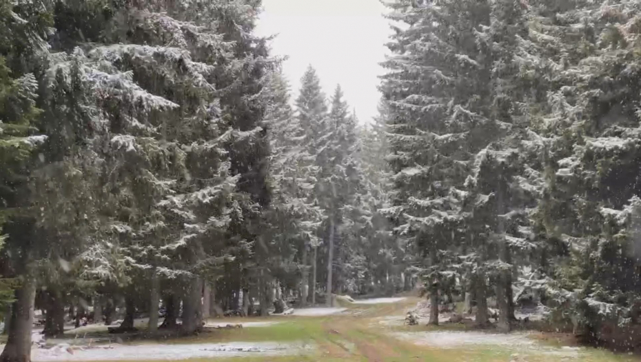 OVAKO NIJE NI U DECEMBRU Sneg OKOVAO planine u Srbiji, ljudi ne veruju kako veje (FOTO/VIDEO)