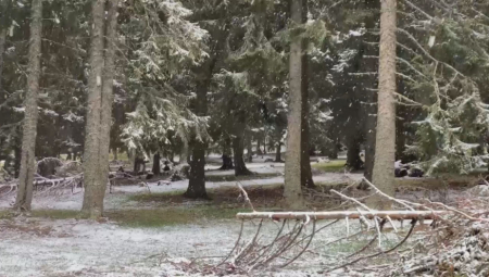 U OVOM DELU SRBIJE JE PAO SNEG Sve se zabelelo
