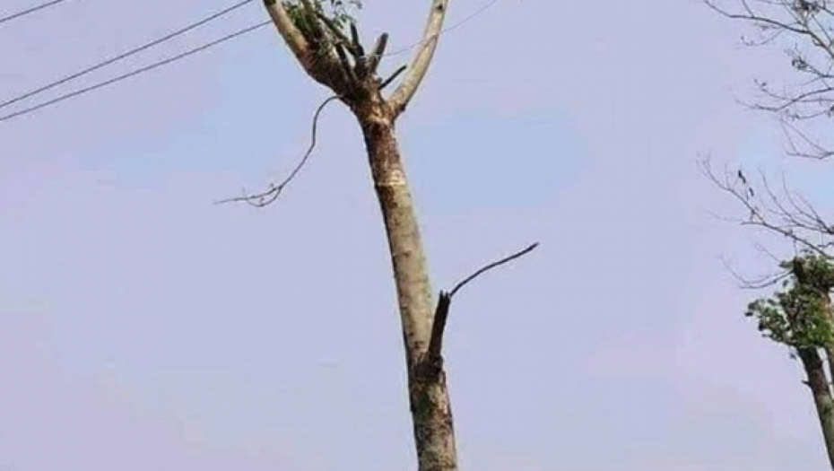 FOTKA DALEKOVODA IZ SRBIJE OBIŠLA JE CELI BALKAN Prizor je potpuno bizaran i teško objašnjiv