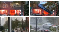 APOKALIPTIČAN PRIZOR! PADAJU DELOVI ZGRADE, VETAR POKIDAO 10.000 STABALA! Ovo nisu doževeli od 1949. godine,"Bebinka" pravi haos (FOTO/VIDEO)