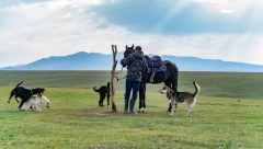 NE OKLEVAJTE, RAČUNICA JE JASNA Uzgojem popularne životinje zaradio dovoljno da kupi stan(VIDEO)