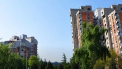 MONSTRUMI SA VIDIKOVCA: U jednoj zgradi prete da će sipati kiselinu na pse!