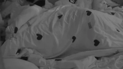 VRELA AKCIJA MIONE I ŠA! Učesnici u čudu gledali, Jovanovićeva nije mogla da se obuzda!