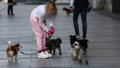 PAPRENE KAZNE ZA VLASNIKE PASA! Komunalna policija u civilu češlja parkove!