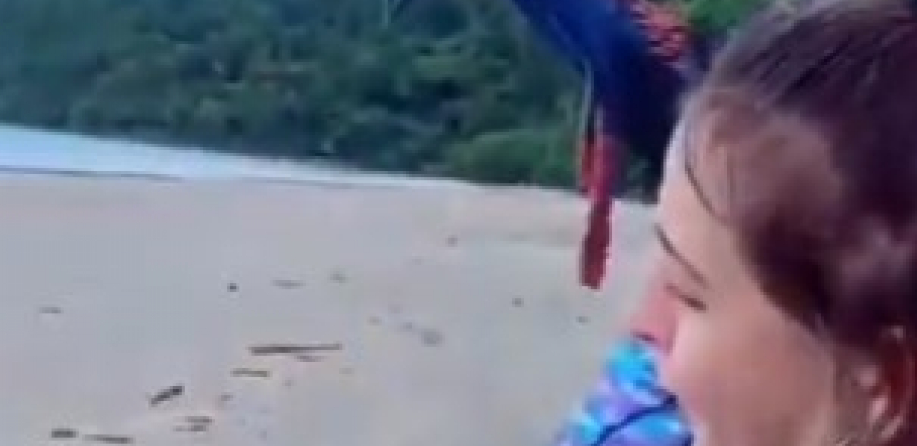 STVORENJE NALIK DINOSAURUSU OČI U OČI SA ŽENOM Ima kandže nalik na bodeže, može da ubije! (VIDEO)