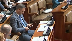 ALEKSIĆU, ŠTA IMA NA TELEFONU? Miki bleji dok njegov kolega govori, ne mari za raspravu u Skupštini! (FOTO)
