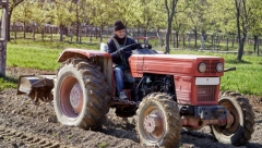 SVI STOGODIŠNJACI IMAJU OVO U VENAMA Analiza krvi otkriva tajne dugovečnosti
