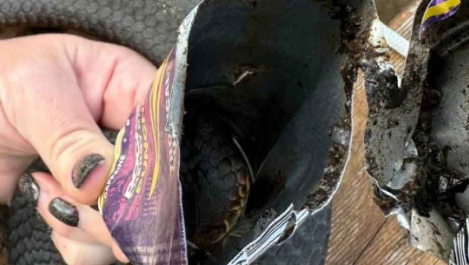 OTROVNICA SE ZAGLAVILA U LIMENCI Hrabra žena preuzela rizik na sebe, pa postala heroj na društvenim mrežama!