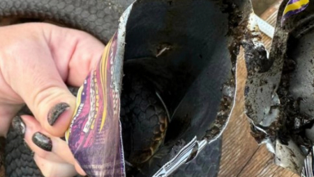 OTROVNICA SE ZAGLAVILA U LIMENCI Hrabra žena preuzela rizik na sebe, pa postala heroj na društvenim mrežama!
