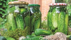 VODA OD KISELIH KRASTAVACA JE PRAVO BLAGO Obično završi u sudoperi, a kad čujete koliko je korisna više je nećete bacati