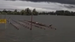 IZLIO SE DUNAV, VETAR KIDA DRVEĆE, GRAD SVE LOMI...Nevreme paralisalo Vojvodinu, pogledajte nestvarne prizore! (FOTO/VIDEO)
