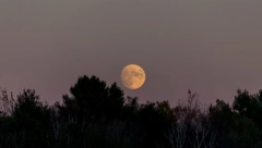 POSLEDNJI VOZ DA ISKORISTITE ENERGIJU PLANETA LJUBAVI I NOVCA 3 horoskopska znaka doživeće preokret sreće, trajaće i u oktobru