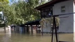 ''U OVOM NASELJU NEMA STRUJE I DO NJEGA SE SAMO ČAMCEM DOLAZI'': Vodostaj Dunava kod Apatina i Bezdana već danima u porastu, mače ostalo ZAGLAVLJENO! (VIDEO)