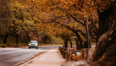 SAČUVAJTE ZDRAVLJE OVE JESENI Primenite šest navika koje će vam očuvati psihofizičko blagostanje