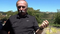 "POČEO SAM SA 15 GODINA, GURAO SAM KOLICA U SAMOPOSLUZI" Boža napravio imperiju i stekao bogatstvo u Americi, ali ne zaboravlja ni Srbiju