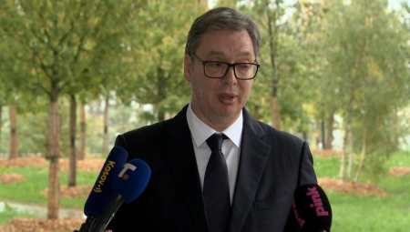 VUČIĆ OTKRIO ŠTA JE IZGUBLJENO ZBOG "LUDOVANJA OKO LITIJUMA": Dal' ste ljudi vi čisti? Šta ćemo posle ako ostanemo bez geologa?
