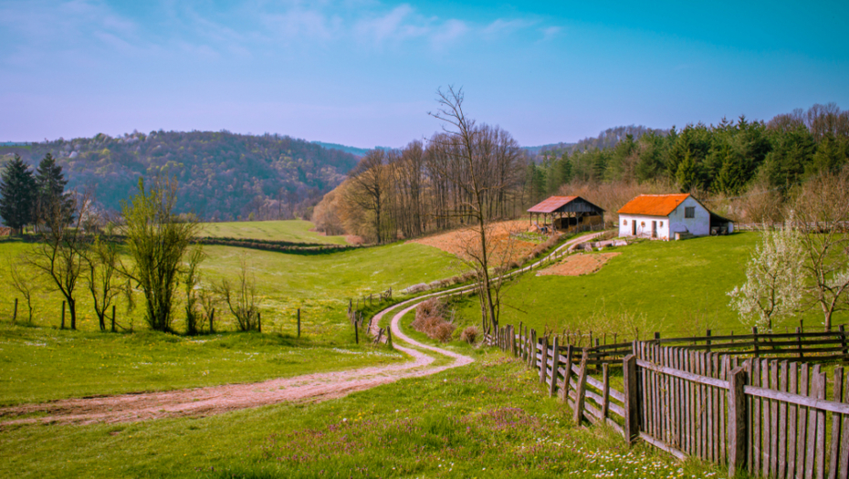 Zašto Rade prodaje kuću od 90 m2 blizu Beograda za samo 45.000 evra? Ali, ni to nije sve