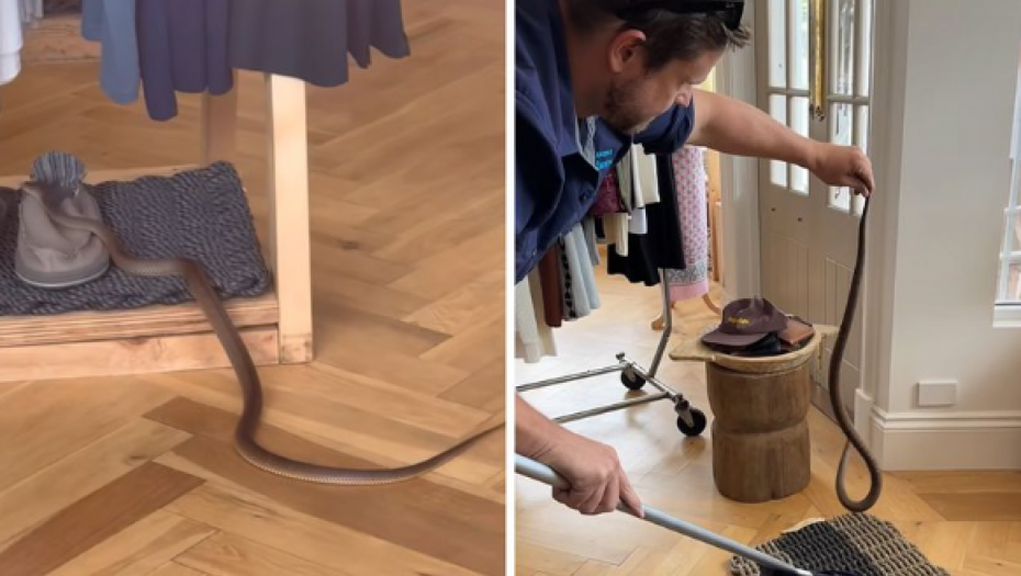 PANIKA U BUTIKU Otrovna zmija vrebala iz nove kolekcije, mušterije su HITNO evakuisane