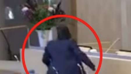 KAMERA SNIMILA SKANDAL U PARLAMENTU! "MARIJA JE ISTRČALA IZ SALE" Ministarsku gađali vrećom punom paradajza, oglasio se se premijer Švedske (VIDEO)