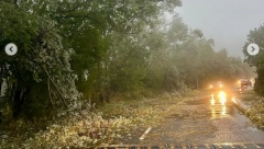 VELIKO NEVREME POGODILO CETINJE: Oborena stabla, pojedine ulice zatvorene za saobraćaj (FOTO)