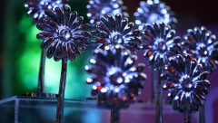 Počele prijave za prestižnu nagradu "Turistički cvet 2024."