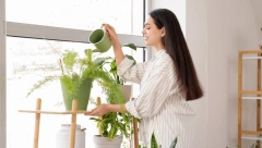 PRIPREMITE BILJKE ZA ZIMU Evo kada je pravo vreme za zalivanje, stučnjaci su saglasni