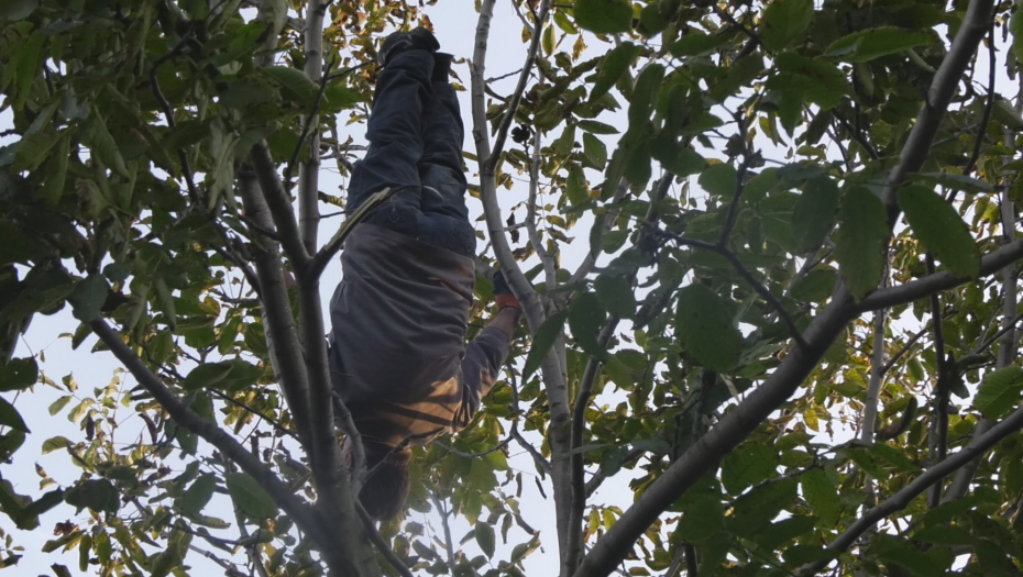 MIĆO AKROBATA IZVODI SALTO NA BANDERI, STOJI NAOPAČKE I PENJE SE PO DRVEĆU! Ova živa legenda svog kraja gazi sedmu deceniju, a izgleda kao mladić! (FOTO)