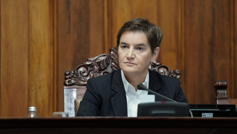 BRNABIĆ: Mi svi zajedno moramo da istrajemo na putu koji krči Aleksandar Vučić