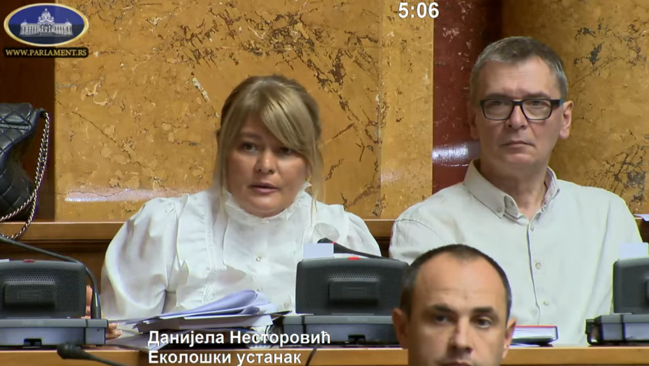 IZNELA NEBULOZU, PA JOJ MACA POJELA JEZIK Danijela Nestorović: Srbija je u litijumskoj alijansi! Brnabić joj odgovorila za primer!