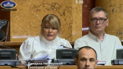 IZNELA NEBULOZU, PA JOJ MACA POJELA JEZIK Danijela Nestorović: Srbija je u litijumskoj alijansi! Brnabić joj odgovorila za primer!
