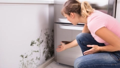 VEĆINA LJUDI PRAVI OVE GREŠKE Nisu ni svesni da tako povećavaju vlagu u kući i podstiču stvaranje buđi