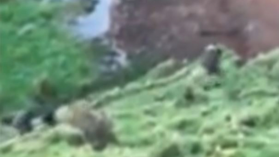 OTAC I TROJE DECE NESTALI PRE 3 GODINE Sada ih je kamera slučajno snimila kako tumaraju kroz žbunje! (VIDEO)