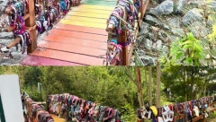 VLASNICI LJUBIMACA TUGUJU ZBOG DUGINOG MOSTA Uragan Helen odneo "kapiju sećanja"