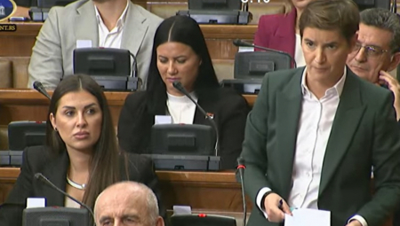 ANA BRNABIĆ RAZOTKRILA DANIJELU NESTOROVIĆ U SKUPŠTINI: MUP je utvrdio šta se desilo, jadan taj vulkanizer pita se šta je on Bogu zgrešio!