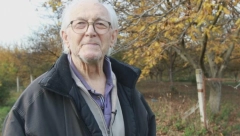 PENZIONER VLADAN PO HEKTARU ZARADI 10.000 EVRA Jedno drvo daje plodove čak 80 godina, a radi se minimalno