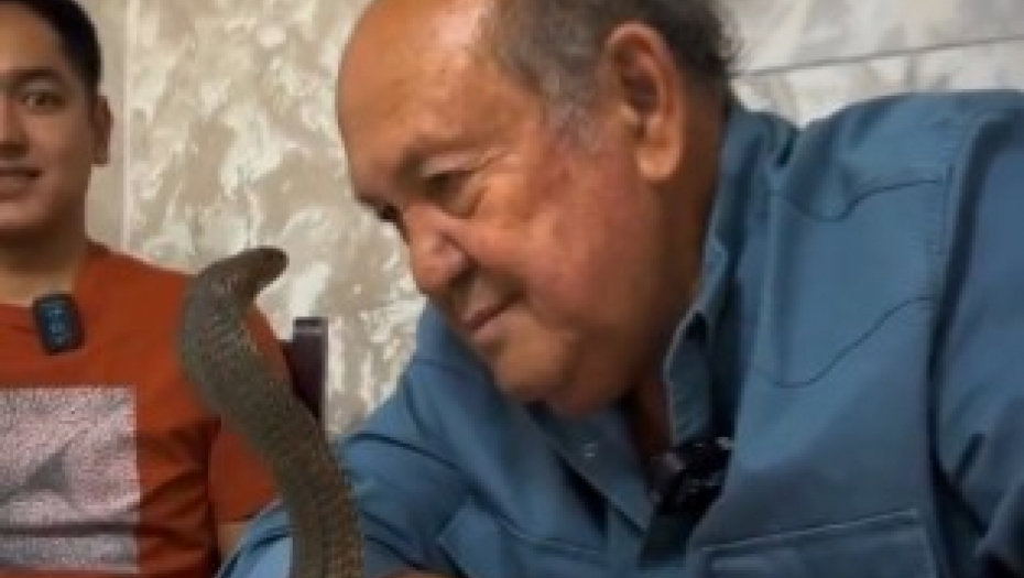 ŠTA JE OVO LJUDI MOJI ? Muškarac se susreo oči u oči sa zmijom, prizor ledi krv u žilama! (UZNEMIRUJUĆI VIDEO)