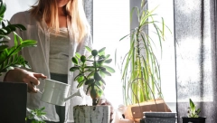 STAVITE OVE LJUSKE U VODU Najbolja prihrana od koje biljke bujaju tokom cele godine