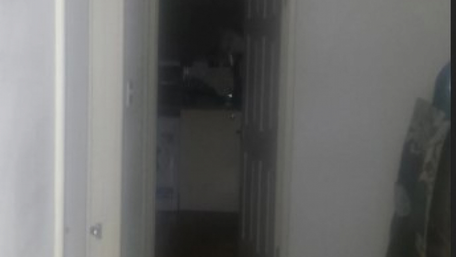 ČUO JE ŠUŠKANJE I KRCKANJE U KUHINJI Zbog onog što je ugledao u mraku, zanemeo je od šoka! (FOTO)