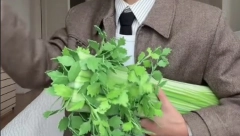 IMA LI GRANICA MODNOM LUDILU Najzabavnija torbica na svetu: Celer za pola miliona? Prava sitnica (VIDEO)