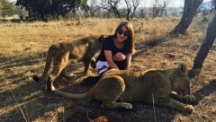 ''ČOVEK MI JE UMRO NA RUKAMA, LAVOVI SU MI POCEPALI MAJICU'' Naša voditeljka prošla kroz pakao, otvorila dušu za Alo! nakon medijske pauze: ''Bilo je strašno''