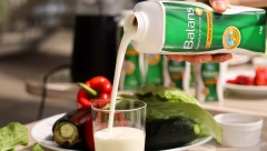 PROBIOTSKI JOGURT – SAVEZNIK DOBROG ZDRAVLJA