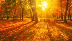 HOROSKOP ZA SREDU, 23. OKTOBAR: Blizancima se posao komplikuje, ozbiljni problemi sa zdravljem za Strelca, uzbudljiva ljubavna avantura za Škorpiju