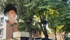 SKANDALOZNO PONAŠANJE SERGEJA TRIFUNOVIĆA Nakon incidenta uputio uvrede: Vratite se u svoje štale!