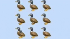 MOŽETE LI PRONAĆI SVE PATKE? Zagonetka koja zbunila sve na društvenim mrežama